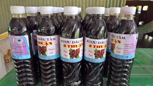 An Giang: Thu nhập cao nhờ phát triển nông nghiệp gắn với du lịch sinh thái